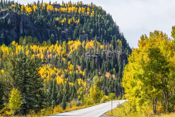 Highway road on mountain with golden aspen trees in Colorado