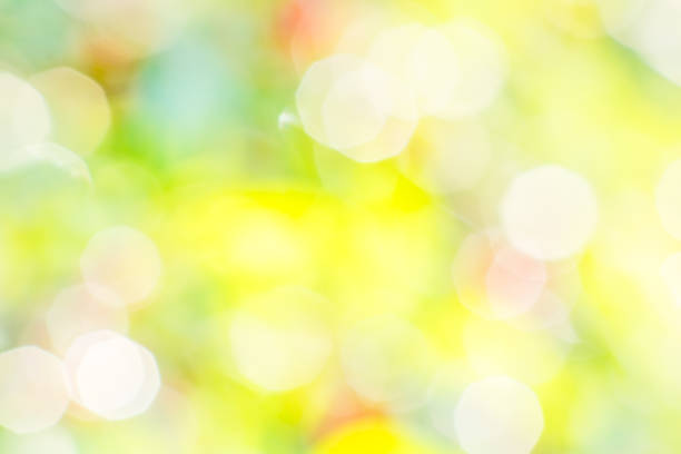 istock Sunny, bright, abstract background of a summer garden 675790078