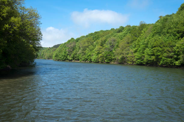istock Beautiful Lake And Forest In Sunny Day 675797208