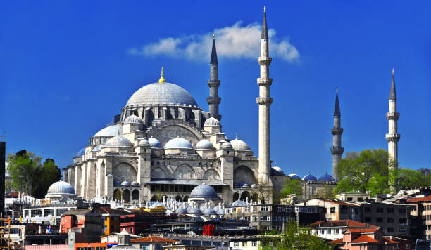 istock Suleymaniye Mosque in Istanbul, Turkey 675800814
