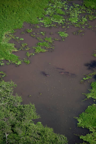 istock Kenya from the air 675801486