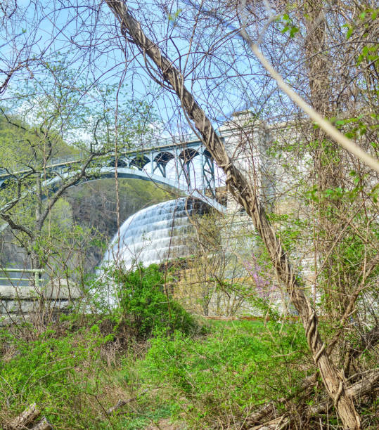 istock water dam in framed by nature 675801926