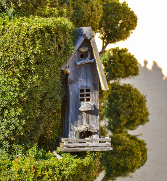 birdhouse in the spring forest natural background