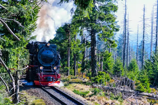 Old retro vintage steam locomotive on mountain railroad surrounded by green fresh fir trees and dried logs, in the harz national park, germany.