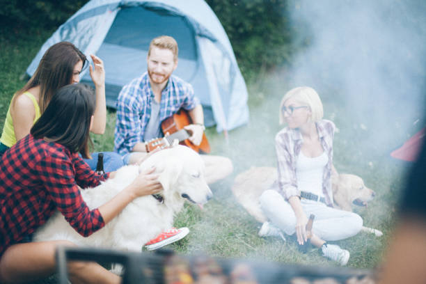 istock Friends on camping in nature with dog 675805406