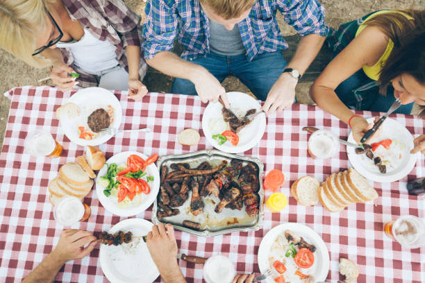 istock Lunch time in the nature 675805420