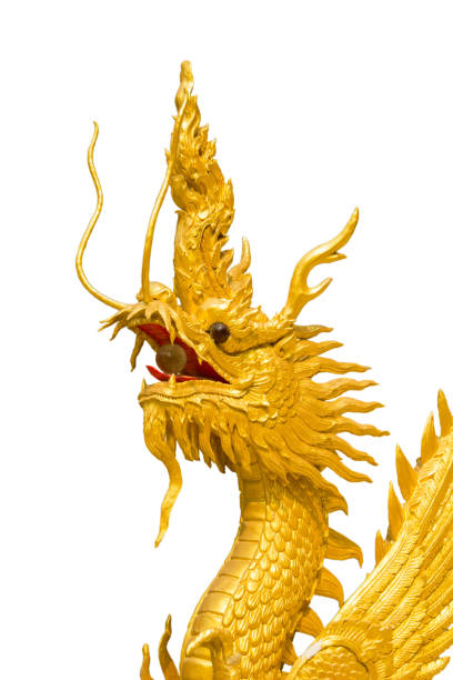 istock Golden dragon statue on white background 675812006