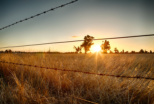 Sunset over the Australian countryside