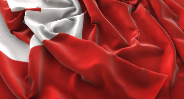 istock Tonga Flag Ruffled Beautifully Waving Macro Close-Up Shot 675816236