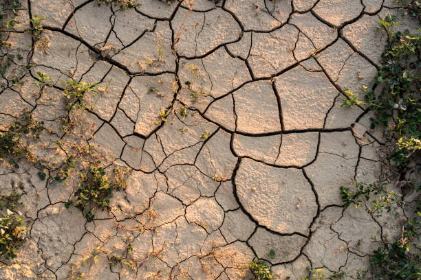 istock Drought agricultural land. 675820816