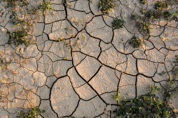 istock Drought agricultural land. 675820838