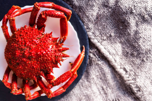 deliciosos frutos do mar - vermelho caranguejo na chapa branca e fundo de pano de saco rústico. "n - prepared shellfish tray variation catch of fish - fotografias e filmes do acervo