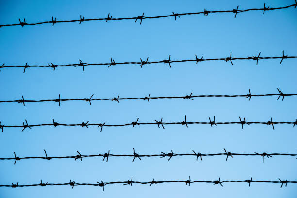istock the barbed wire on blue sky background 675824564