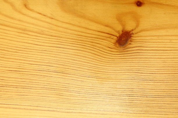 istock Texture of wood background closeup 675825082
