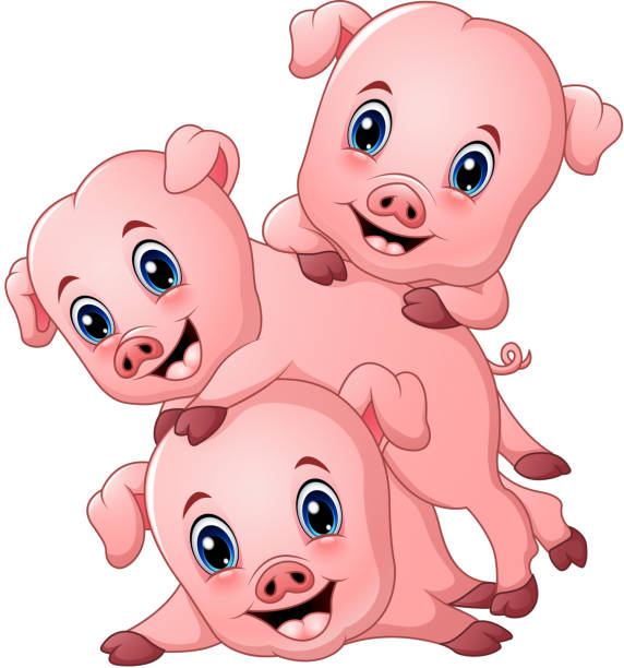 ilustrações, clipart, desenhos animados e ícones de desenho animado três porquinho - domestic pig agriculture farm animal