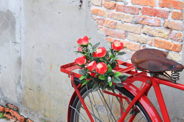 istock flower  close up on saddle red bicycle classic vintage 675899606
