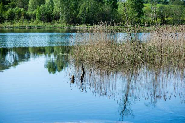 istock Reflections in the calm lake water 675906698