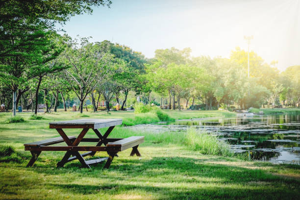 istock The park in natural place background. 675909634
