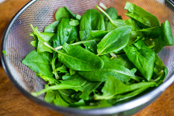 istock Food and products 675912760