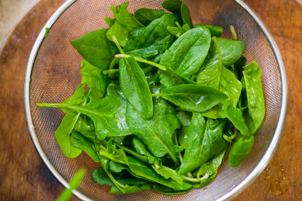 istock Food and products 675912794