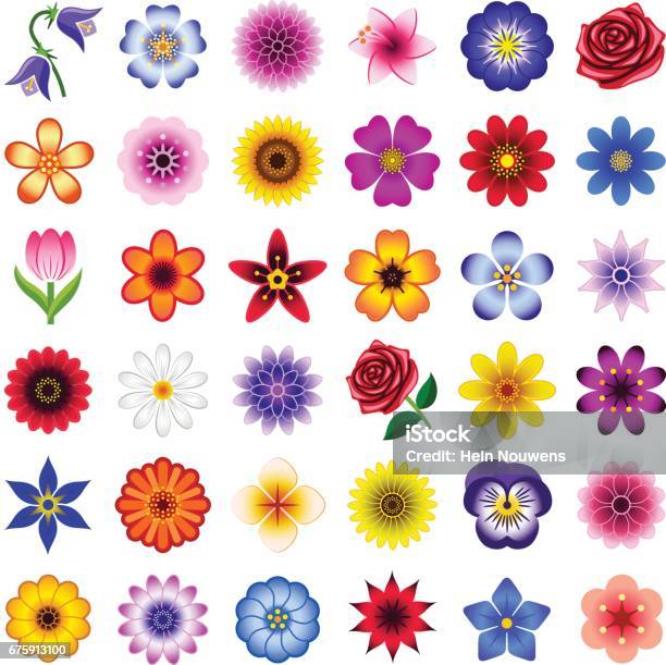 Flowers Stock Illustration - Download Image Now - Flower, Icon Symbol, Vector