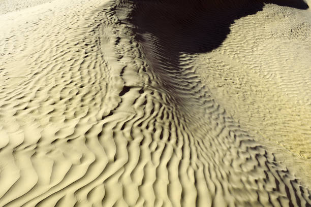 istock Khaki color. Natural texture and background of the desert. Sand patterns 675920716