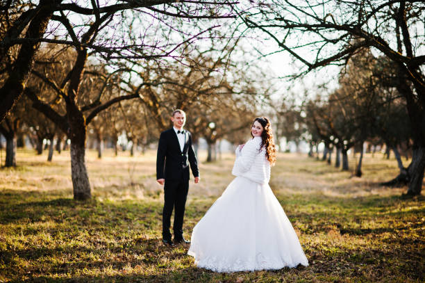 great and gorgeous wedding couple at sunset near wood - silhouette kissing park sunset imagens e fotografias de stock