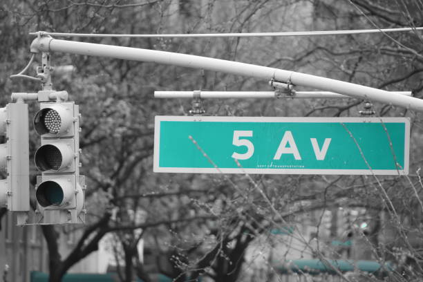 istock Fifth Avenue in New York 675923658