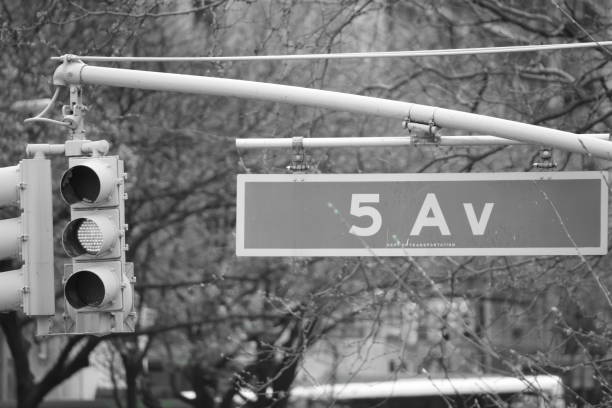 istock Fifth Avenue in New York 675923842