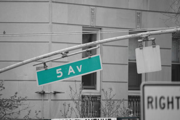 istock Fifth Avenue in New York 675926036