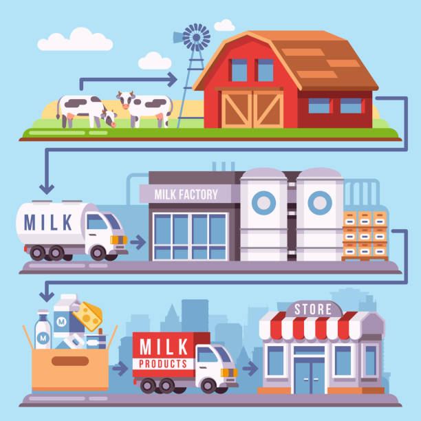 ilustrações de stock, clip art, desenhos animados e ícones de milk production processing from a dairy farm through factory to consumer vector illustration - milk industry milk bottle factory