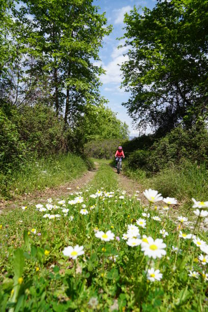 istock Woman riding bicycle on the forest road 675933198