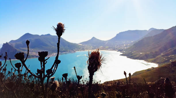istock Beautiful view down into Hout Bay, Cape Town 675934318