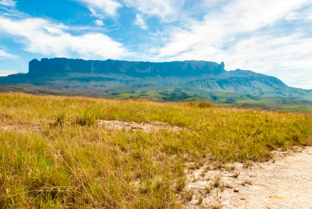 istock Roraima Tepui, Gran Sabana, Venezuela 675937340