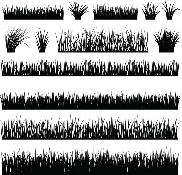 Meadow silhouette set for horizontal banners Meadow silhouette set for horizontal banners. Vector black grass and reeds silhouettes isolated on white background gardening silhouettes stock illustrations