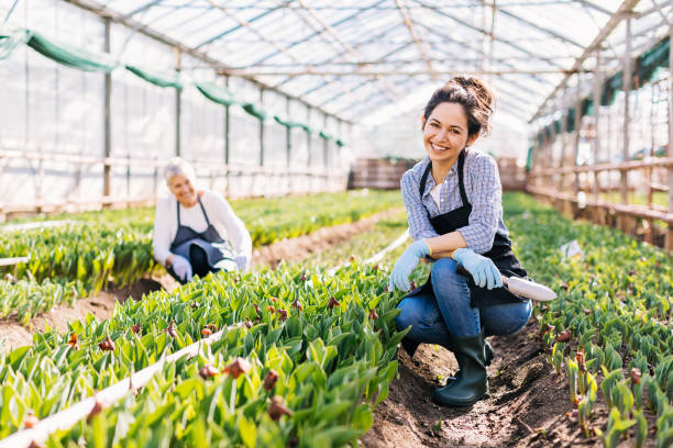 istock Passing the business to the new generation 675941132