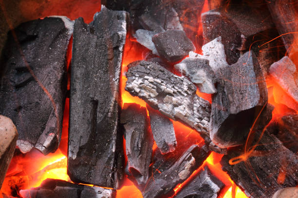 istock fire flames with sparks on the coals 675941560