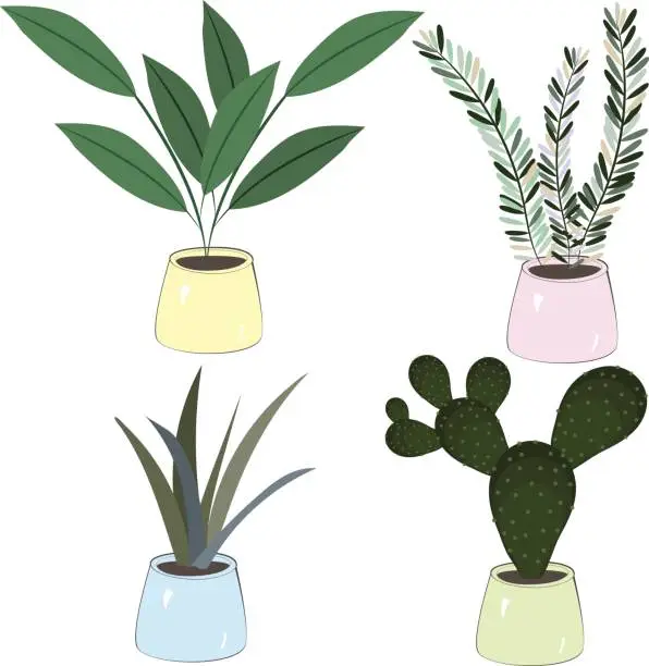 Vector illustration of Flower pots