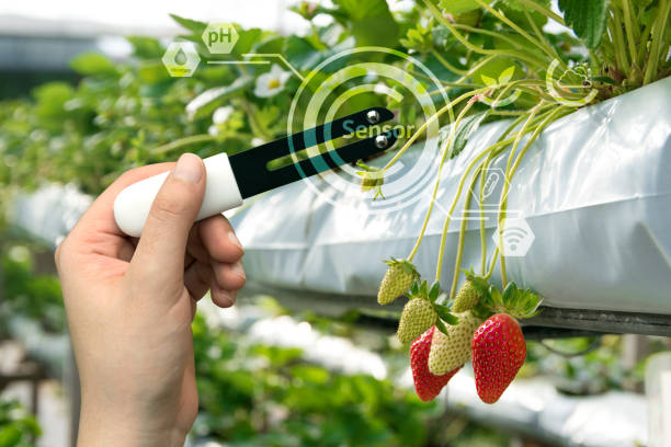 istock Smart agriculture, sensor concept. Hand holding smart hardware for measure moisture, ph, nitrogen, phosphorus, potassium and sunlight in soil with strawberry farm background and graphic 675942316
