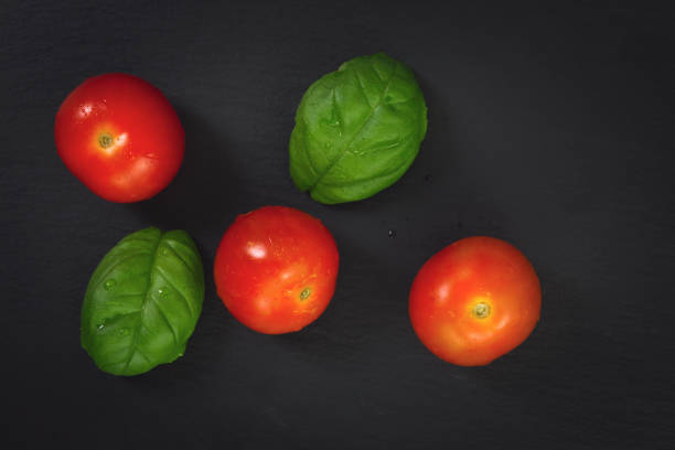 Organics Tomatoes and basil leaves on black slate plate board