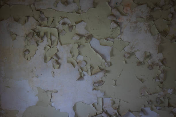 stara i popękana ściana budynku, zagubione miejsca - peeling paint wall white zdjęcia i obrazy z banku zdjęć