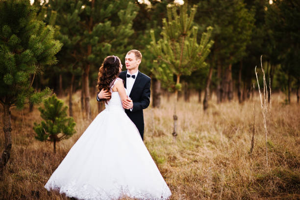 lovely wedding couple  in a pine forest - silhouette kissing park sunset imagens e fotografias de stock