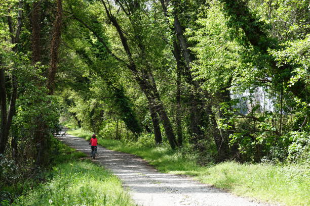 istock Woman riding bicycle on the forest road 675952806