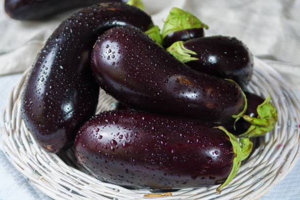 istock Ripe violet eggplants on the white wicker plate  - harvest 675961850