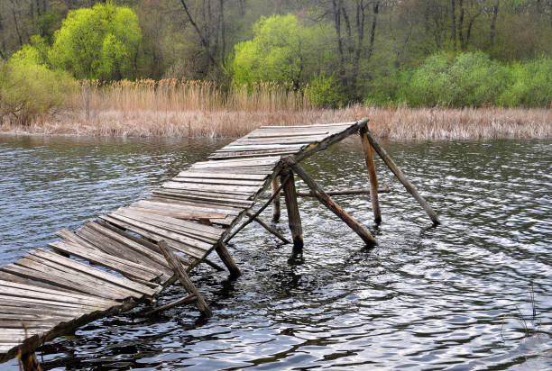 istock Old wooden bridge over the river in the forest 675974674