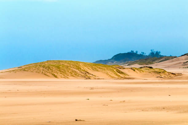 istock Heavy Wind  Blowing Sand on Beach Against Coastal Skyline 675974714