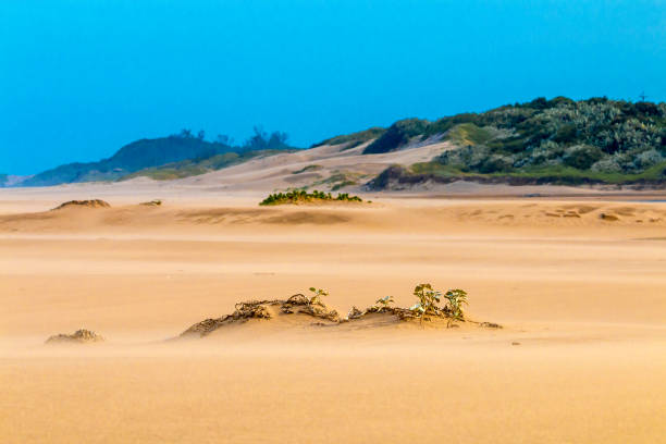 istock Heavy Wind  Blowing Sand on Beach Against Coastal Skyline 675974818