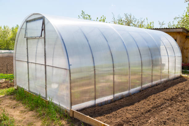 istock Greenhouse polycarbonate arch type in the garden 675975690