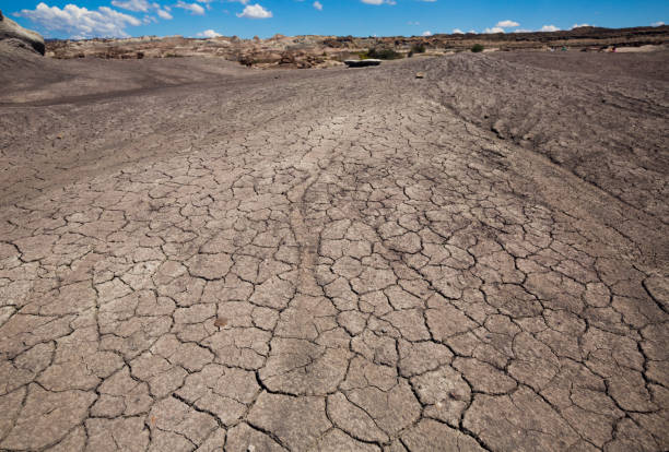 istock Formations of stones in Ischigualasto Park 675980676