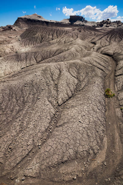 formations de pierres dans le parc ischigualasto - bizarre landscape sand blowing photos et images de collection